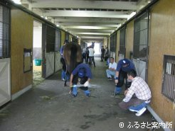 先輩装蹄師の装蹄を見つめる15期生たち