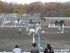 今年17回目となった「ホロシリCUP」