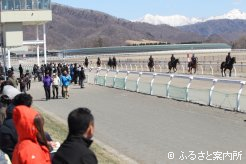 JRA日高育成牧場で開かれた育成馬展示会