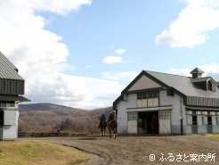 メイショウマンボが育った育成場