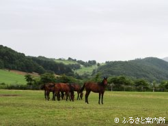 牧場は桜並木で有名な二十間道路沿いにある