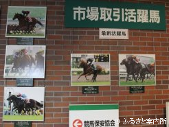 新ひだか町の北海道市場に飾られたバビットの優勝パネル