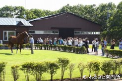 久しぶりにディープスカイとの対面を果たした。
