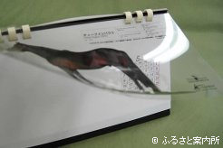 種牡馬の写真は透化され、プラスチック製のシートに印刷されています