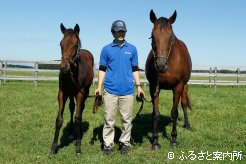 当歳は父ストーミングホームの牝馬