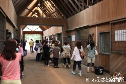 社台スタリオンステーションの厩舎では馬房でくつろぐ姿も見学(2014年ツアーより)