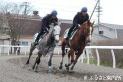 1年間の厳しい研修の成果を披露した