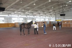北海道市場内の多目的ホールで行われた検査
