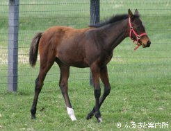 テキスタイル2008～1