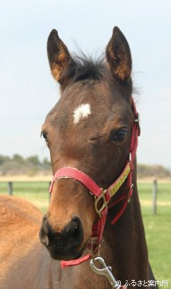テキスタイル2008～1