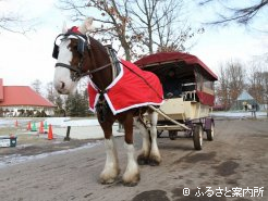 トナカイ風の装いで馬運車を運行したヴァンガード