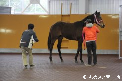 特徴検査は多目的ホール内で行われた