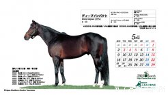 表面から見た印刷イメージ（カレンダーの部分は種牡馬が印刷されたプラスチック製のシートではなく、透過された先の白い紙に印刷されています。）