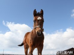 写真は3月下旬時点でのもの