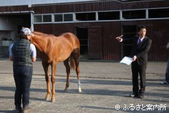 馬体の細部について解説する講師を務めたJRA日本中央競馬会日高育成牧場の石丸睦樹副場長