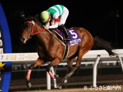 重賞2連勝を飾ったカイカヨソウ
