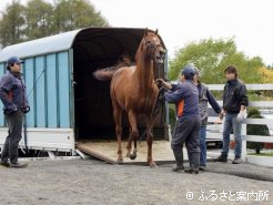 馬運車から降り、雄叫びをあげるテイエムオペラオー