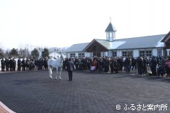 展示会では日本軽種馬協会静内種馬場繋養種牡馬9頭が披露された