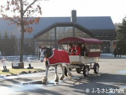 NHPサンタクロース馬車