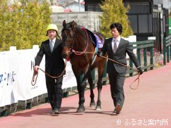 当日はコスモバルクも門別競馬場に登場