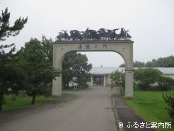 馬事資料館は優駿の門が目印