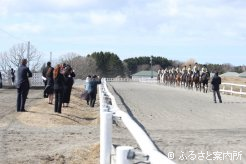来賓や父母、受け入れ先の牧場関係者の前での騎乗供覧