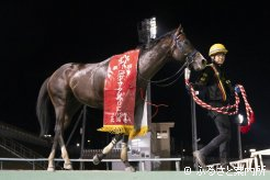 10歳馬とは思えない充実振りで重賞4勝目