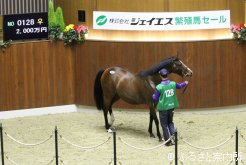 高額3位のパルテノン