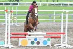 100センチの障害飛越競技
