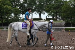 乗馬体験もできます