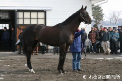 産駒の活躍に期待がかかるリーチザクラウン