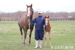 ドンプリムローズの生産者・米田剛文さんと、米田牧場期待の良血繁殖牝馬イザベルドスメーン＆当歳馬(牝、父クロフネ)