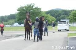 検査場に訪れた2歳馬