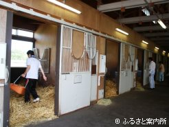 馬房でボロ拾い