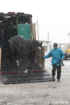 雪が舞い散るなか、新天地に到着した