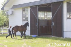 旧種付所内に設置された仮設馬房へ入った