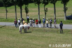 人馬一体の演技を披露したポニーショー