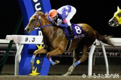 先頭でゴールを駆け抜けたのはモダンウーマン