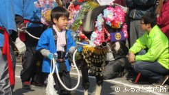 ポニーのシャンシャン馬の参加