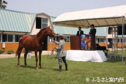 2013九州トレーニングセール