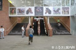 1階エントランスには2頭の写真が飾られている