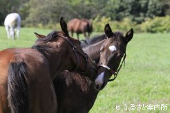 写真５[友]