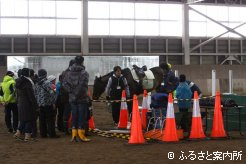 乗り終わったあとは、馬という動物について説明が行われた