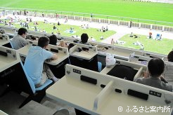 2010年に新装オープンした函館競馬場のスタンドからの競馬観戦
