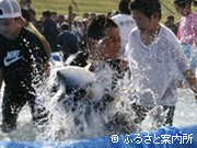 魚のつかみどり
