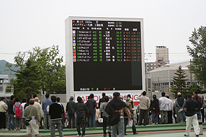 JRA北海道シリーズ～札幌競馬が開幕～ | 馬産地ニュース | 競走馬の 