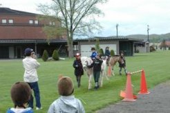 隣のＨＢＡ内で「ポニー＆乗馬体験コーナー」
馬産地ではイベントに多く組み込まれ、子供たちは小さい時から馬に親しんでいる