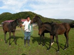 山本オーナー所有の当歳3頭に囲まれる福田真一さん