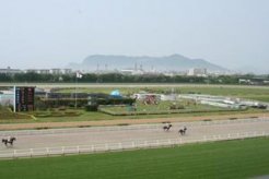 函館競馬場の開幕の風景