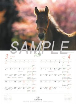 カレンダーにはJRAの重賞と地方競馬の交流重賞のスケジュールが記載